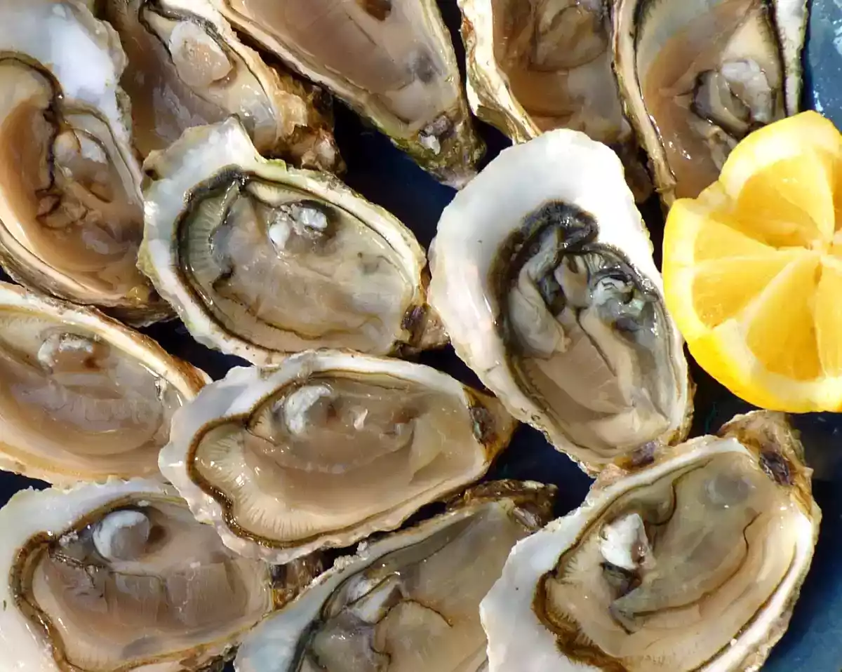 How to open oysters safely and easily?