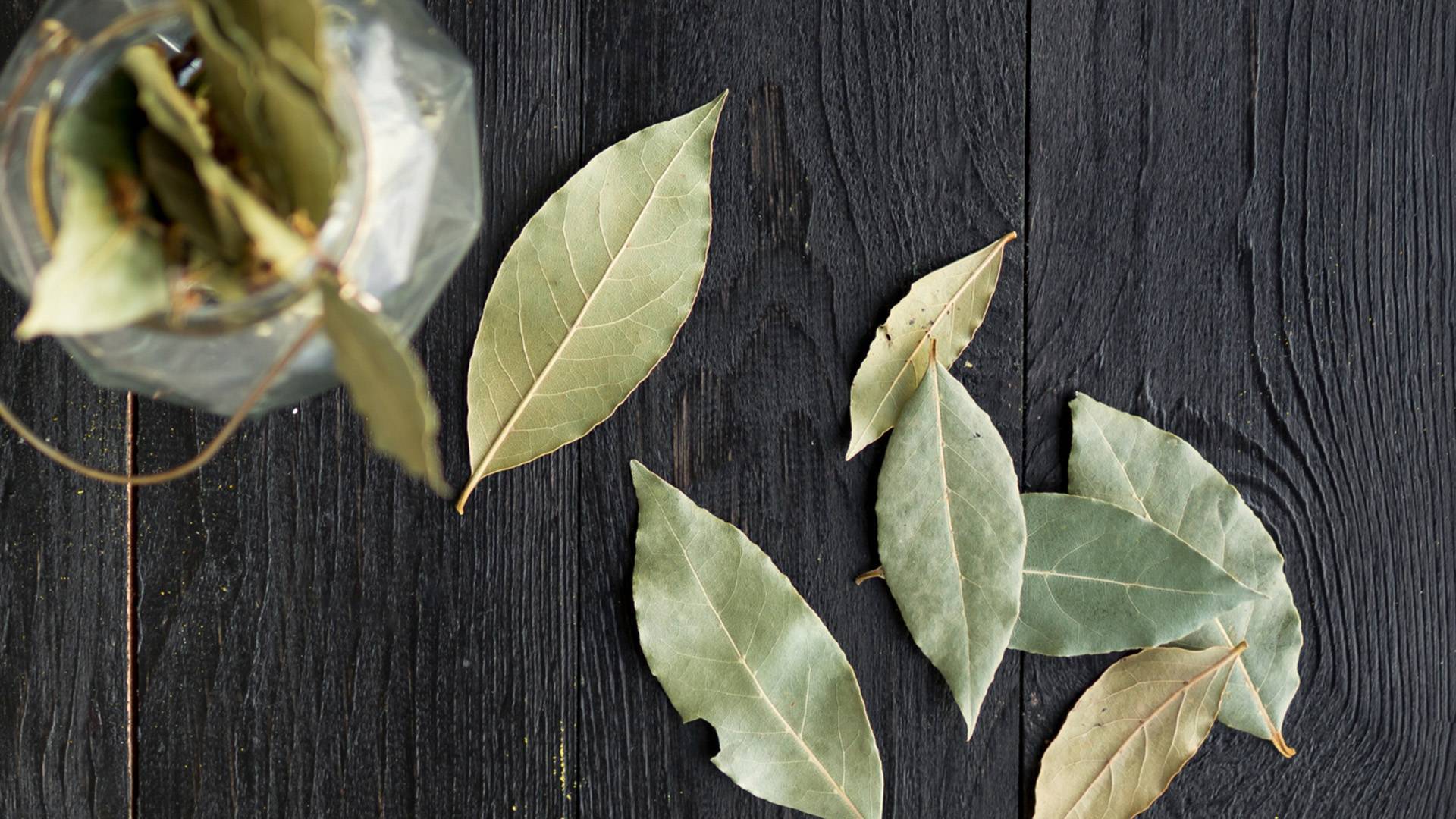 10 surprising uses for bay leaves that you probably didn't know about!