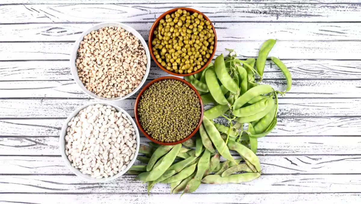 Improve your metabolic health with these 5 powerful plant proteins!
