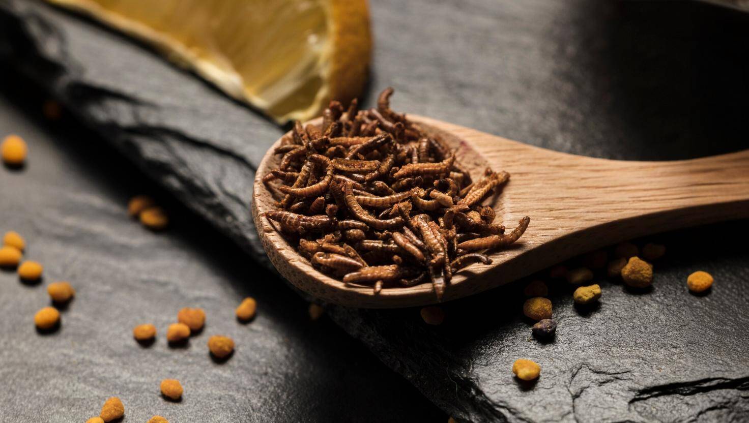 Insects on the menu soon? The European Union paves the way for a new way of eating!