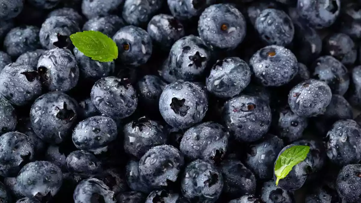 Why you should eat blueberries every day
