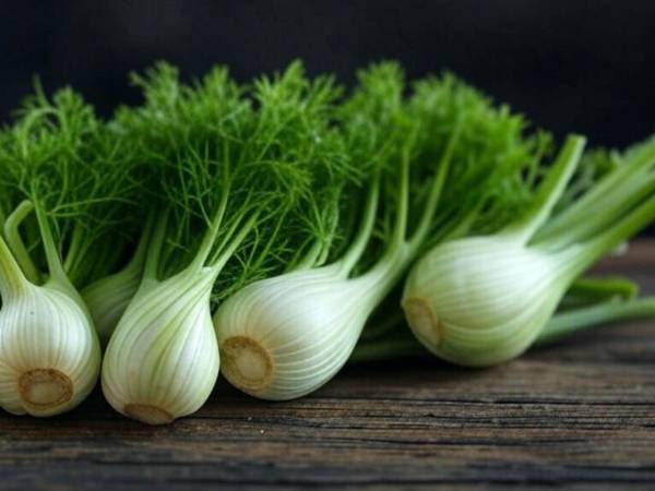 What happens to the body when we eat fennel every day?