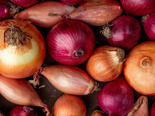 Extend the life of your onions: Simple and effective tips!