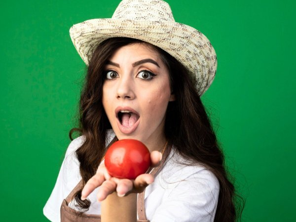 Tomato: fruit or vegetable?