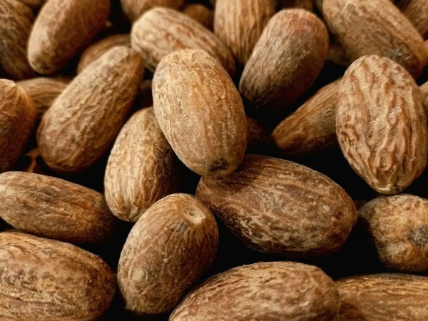 Nutmeg and hallucinations: truth or urban legend?