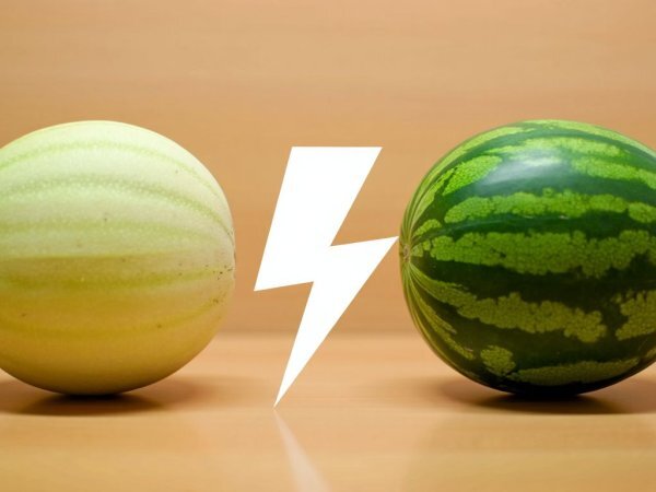 Melon vs watermelon: which hydrates better?