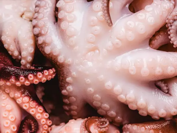 Do you know why you put a cork in the pot when cooking octopus?