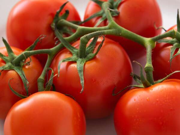 Tomatoes: how to make the most of them with these 7 recipes?