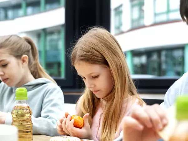 The most popular fish on school menus, banned in France due to its toxicity: are you concerned too?