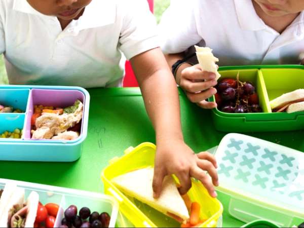 How to prep a whole week of school snacks in just 1 hour: quick, nutritious, and kid-approved ideas