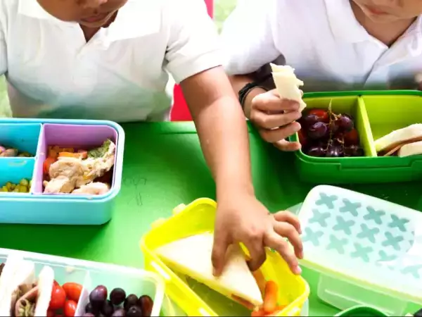 How to prep a whole week of school snacks in just 1 hour: quick, nutritious, and kid-approved ideas