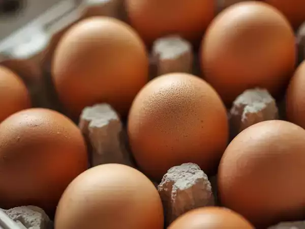 Eggs are everywhere... but should we really be wary of them? Here's what the latest studies say
