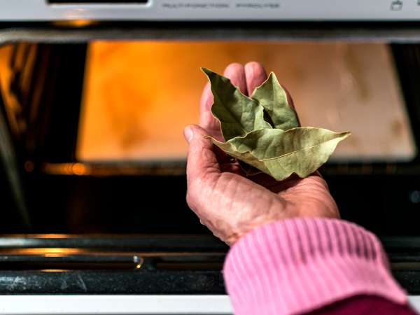 The bay leaf, the forgotten trick to keep an oven spotless without effort
