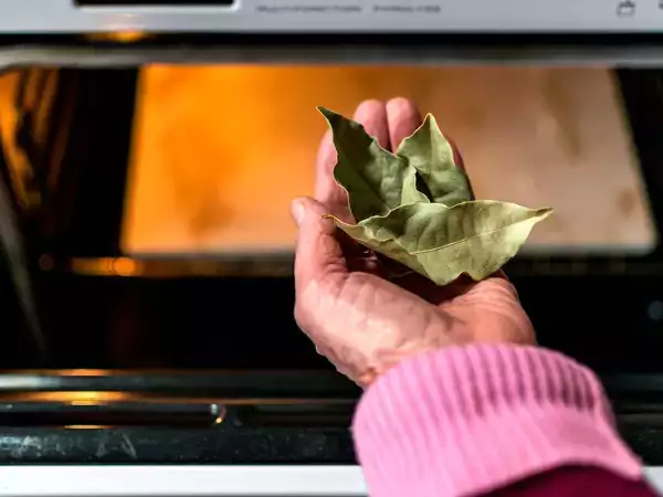 The bay leaf, the forgotten trick to keep an oven spotless without effort