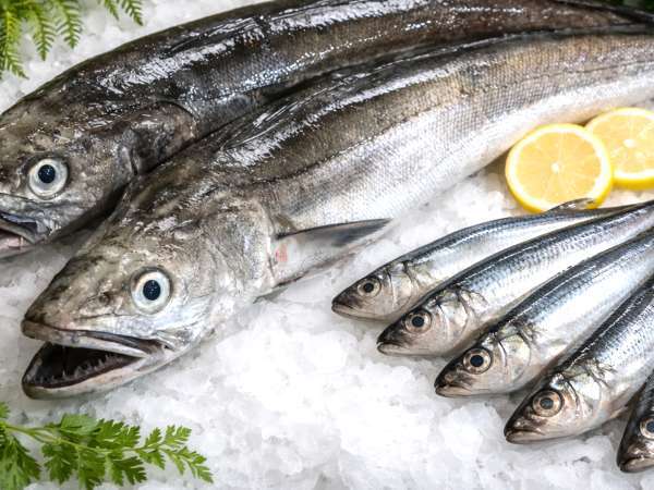 All European hake has anisakis: How to avoid risks at Christmas without changing the menu