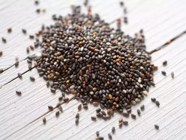 Germinating chia seeds: why, how and where to use them