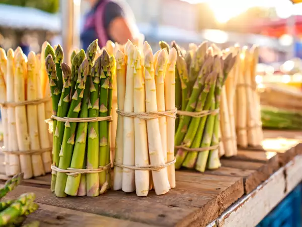 Asparagus: why does eating it really change your health in spring?