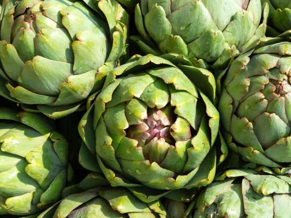 How to cook artichokes easily? All the methods you need to succeed