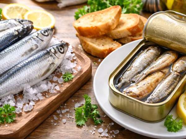 Which is better: fresh or canned sardines? A clear guide to taste, nutrients, price, storage and use