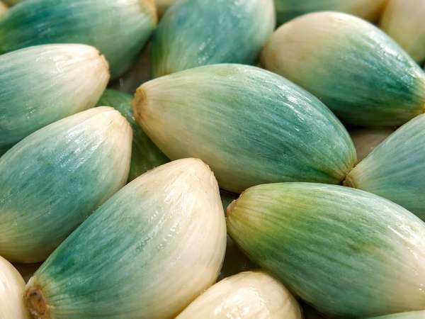 Green or blue garlic in your kitchen? Many people throw it away without understanding what it really means