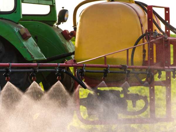 Can eating organic really reduce cadmium exposure? Anses' statement and why it's sparking debate