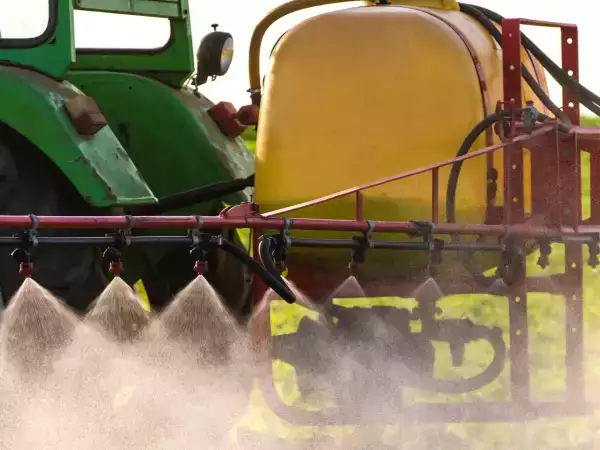 Can eating organic really reduce cadmium exposure? Anses' statement and why it's sparking debate