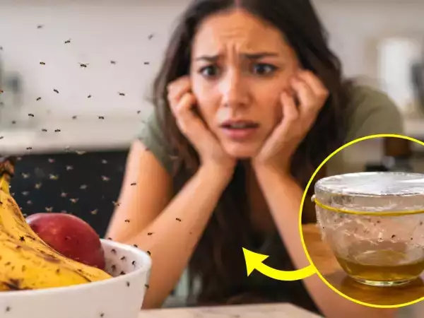 How to banish kitchen midges overnight with a natural, chemical-free remedy anyone can use tonight