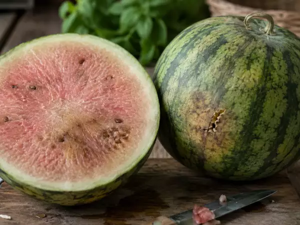 Don't buy a bland watermelon: how to spot an unripe melon with easy visual and sound checks