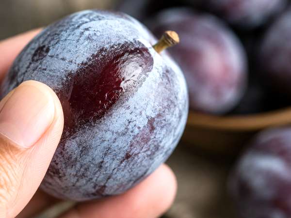 That whitish film on plums: why it looks like dust and what it actually means for freshness