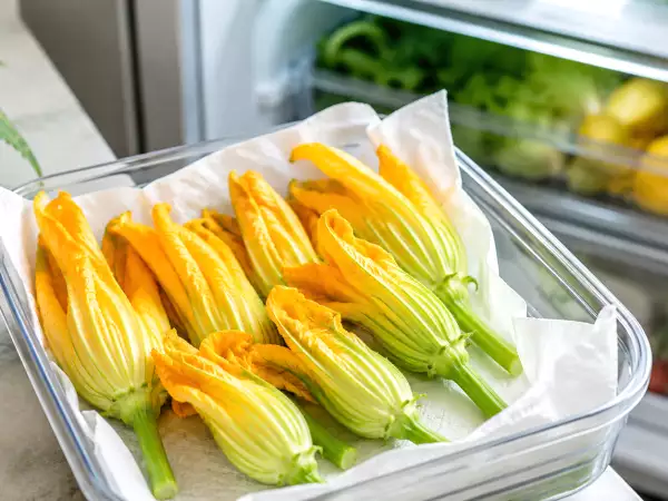 The one simple step most people miss to keep zucchini flowers fresh and prevent them from wilting