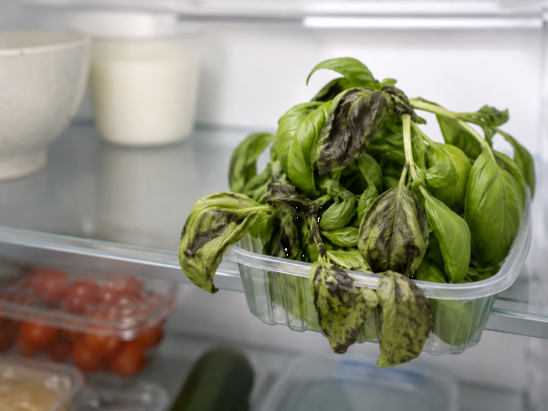 Basil turning black in the fridge? The storage mistake you're likely making and how to stop it
