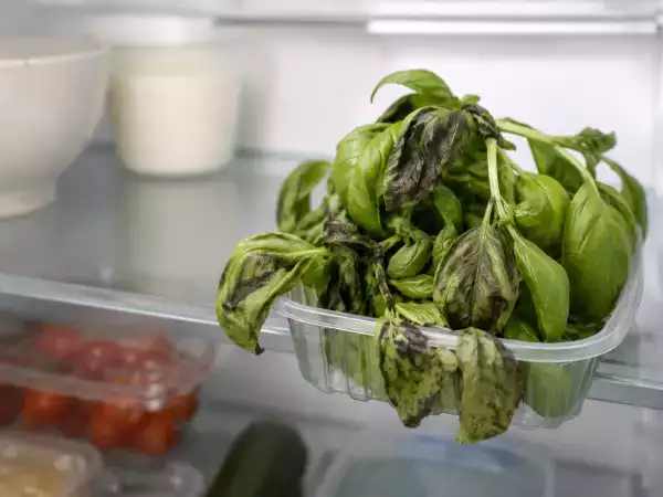 Basil turning black in the fridge? The storage mistake you're likely making and how to stop it