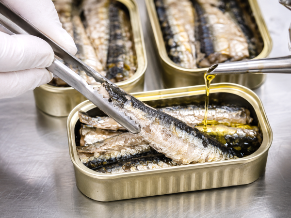 What people learned about how canned sardines are made left many surprised: the truth revealed