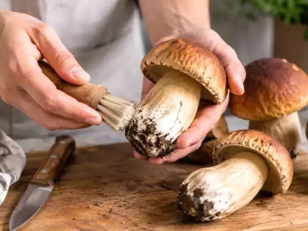 Did you just clean some fresh porcini mushrooms? The one simple thing you should absolutely avoid doing before cooking them