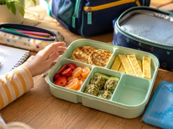 Keep school lunchbox food fresh until recess: 5 easy rules every parent should follow for kids