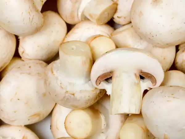 Mushrooms turning brown? A simple guide to which to cook, which to discard, and why it matters