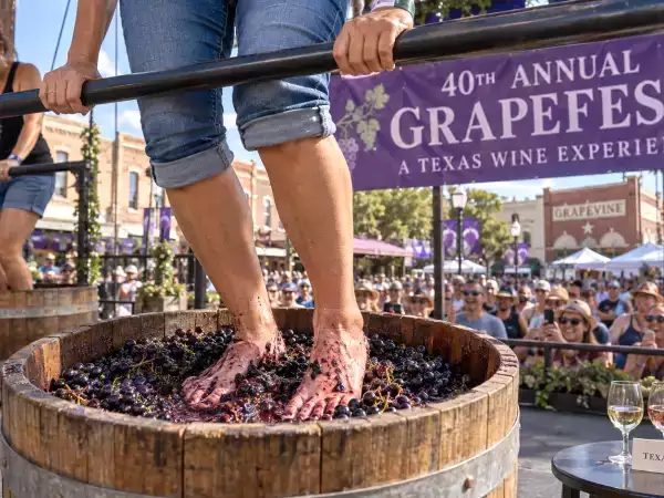 GrapeFest turns 40 Thursday: plan Texas wines, tastings and grape stomping first