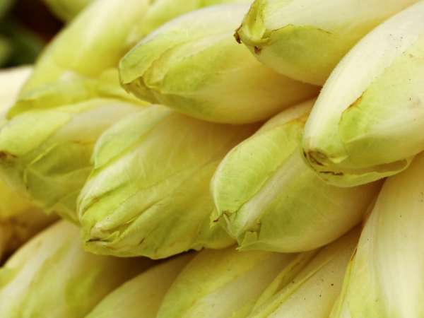 Keep endives from watering down your gratin: easy tips to prevent excess liquid while baking