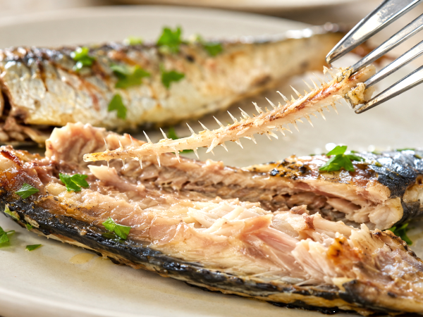 You might be tossing a sardine's most nutritious part without knowing, find out what you're losing
