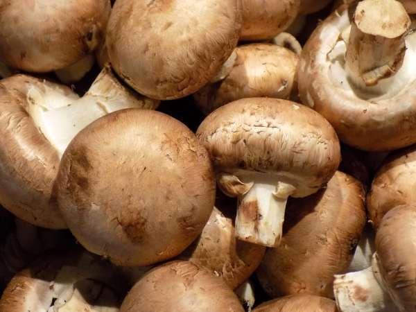The simple storage swap that keeps mushrooms fresher