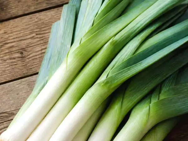 Leeks: don't throw away the green parts: here's what you can actually do with them