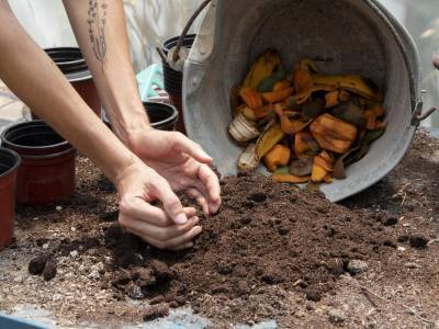 These 5 foods you shouldn't put in your composter