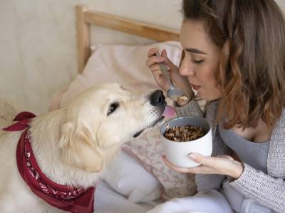 8 foods you definitely shouldn't give your dog!