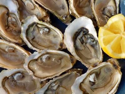 How to open oysters safely and easily?