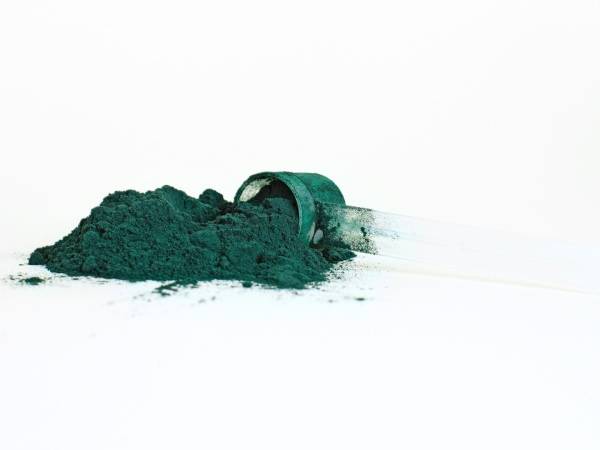 Spirulina: the miracle algae for lowering cholesterol and triglycerides naturally!