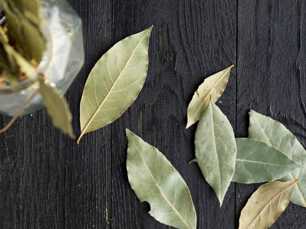 10 surprising uses for bay leaves that you probably didn't know about!