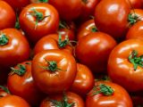 Articles: 5 tips to make your tomatoes last longer!
