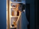 Articles: What to do with food in the refrigerator and freezer after a power outage