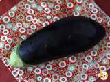 Our 10 best eggplant recipes: grilled, roasted, caviar, how to make it sublime this summer?