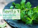 Articles: A Menta: um ingrediente versátil!